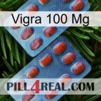 Vigra 100 Mg 05